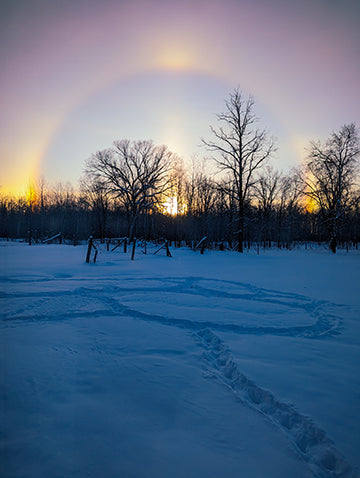 Sundog | Midwinter Collection