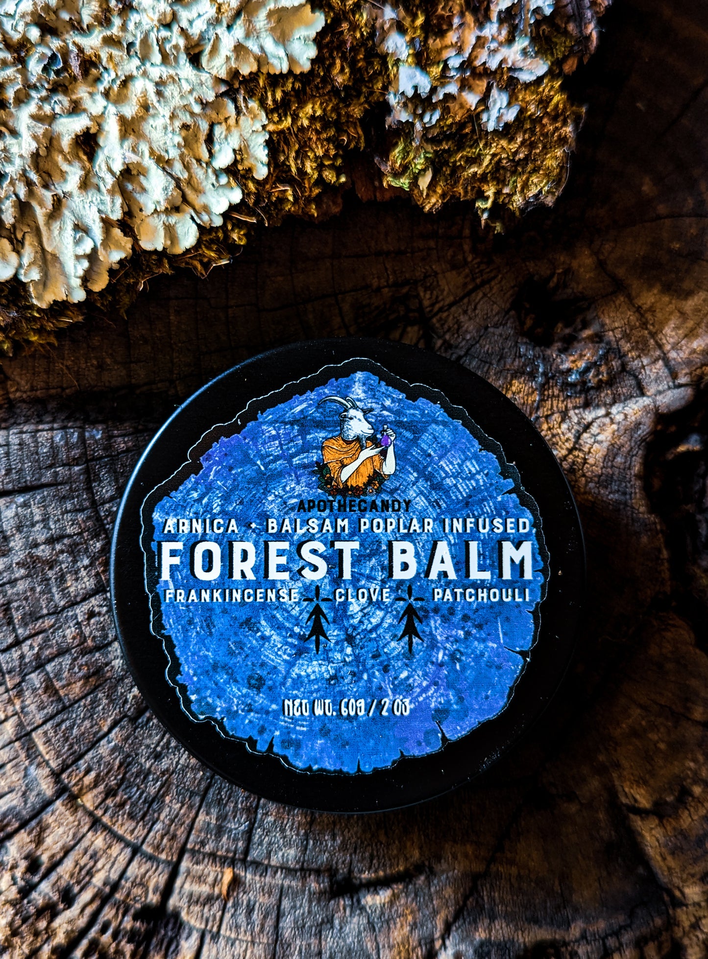 Forest Balm | Arnica + Balsam Poplar