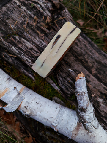 Sweet Birch + Willow
