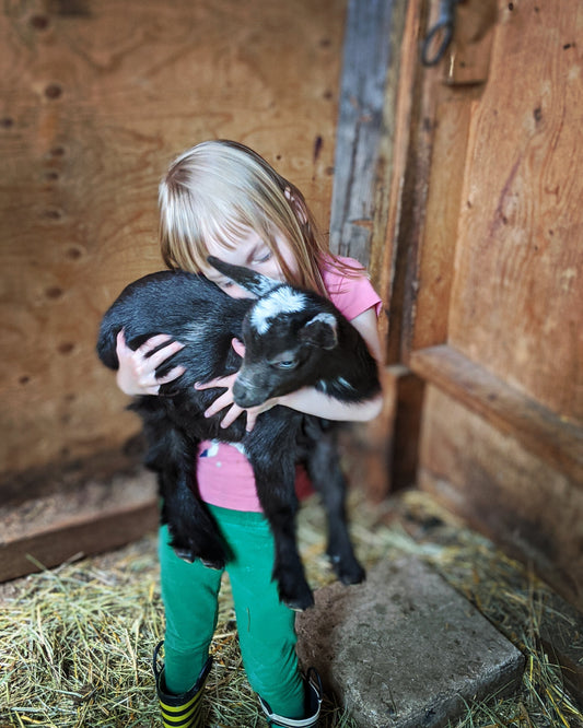 Everything you ever wanted to know about goats but were afraid to ask