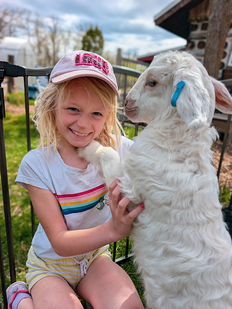 Goat Stewardship Program | Sponsor your favourite Apothecandy goat!