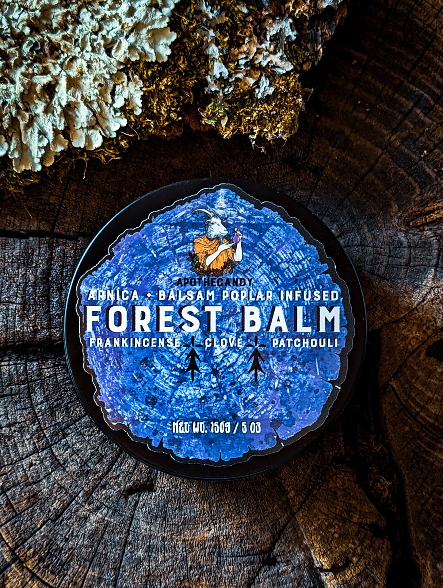 Forest Balm | Arnica + Balsam Poplar